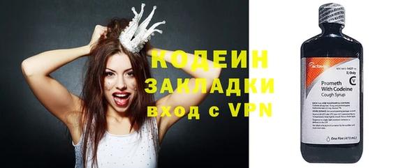 молекула духа Арсеньев