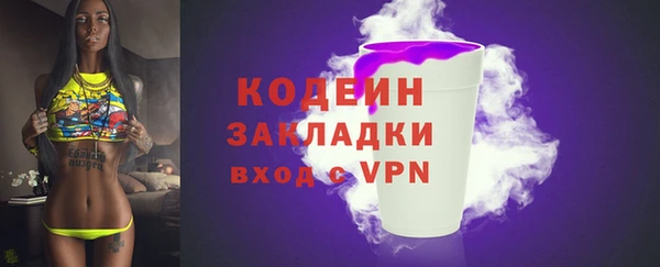 молекула духа Арсеньев