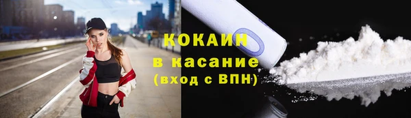 молекула духа Арсеньев