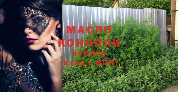молекула духа Арсеньев