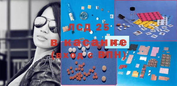 молекула духа Арсеньев