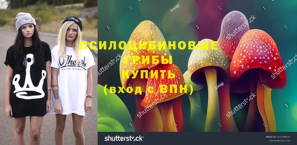 молекула духа Арсеньев