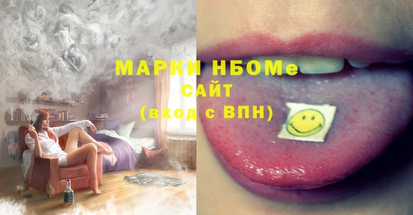 молекула духа Арсеньев